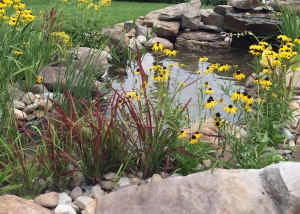 Water In The Landscape