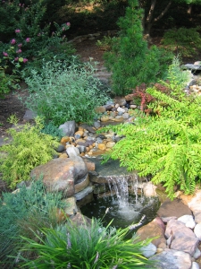 Photo of waterfall and plants